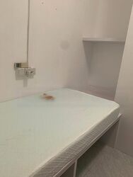 Jalan Chempaka Puteh (D16), Terrace #486351271